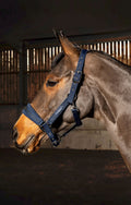 Whitaker Hc061 San Francisco Headcollar Navy