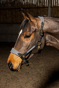 Whitaker Hc096 Harewood Headcollar Grey