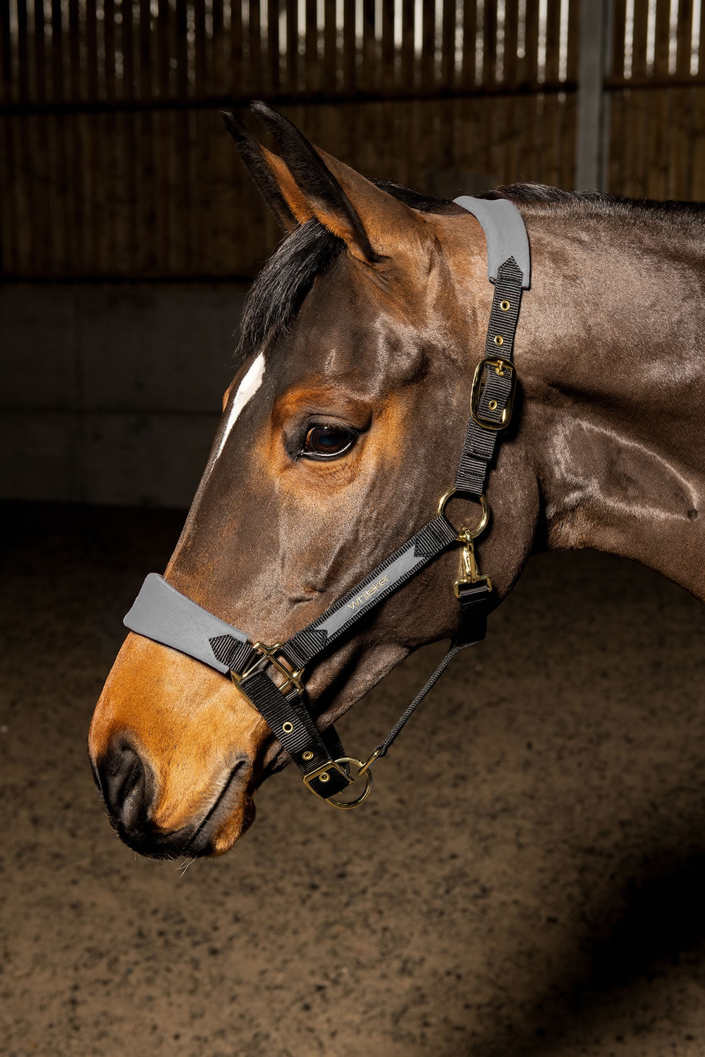 Whitaker Hc096 Harewood Headcollar Grey