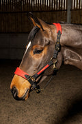 Whitaker Hc096 Harewood Headcollar Red