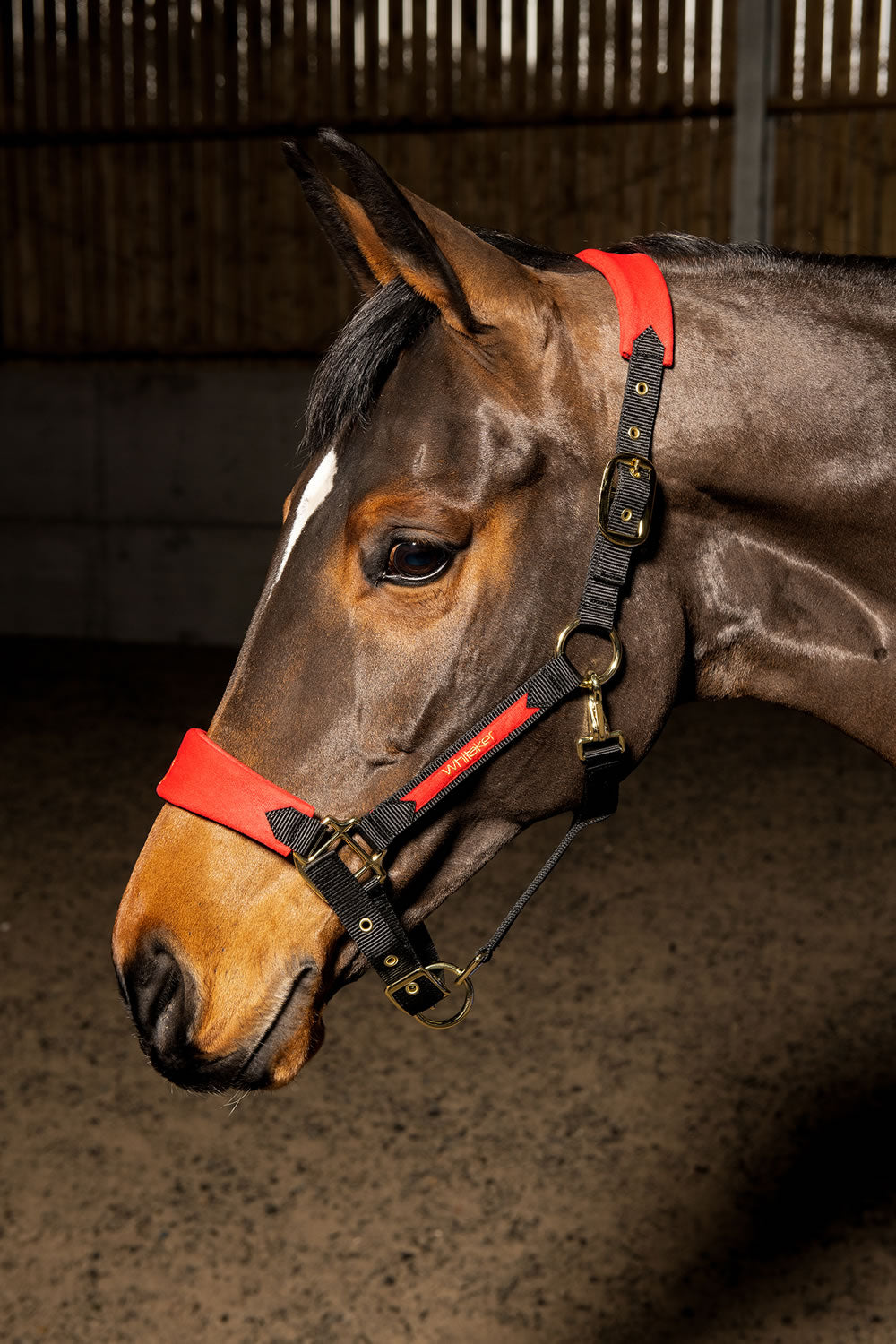 Whitaker Hc096 Harewood Headcollar Red