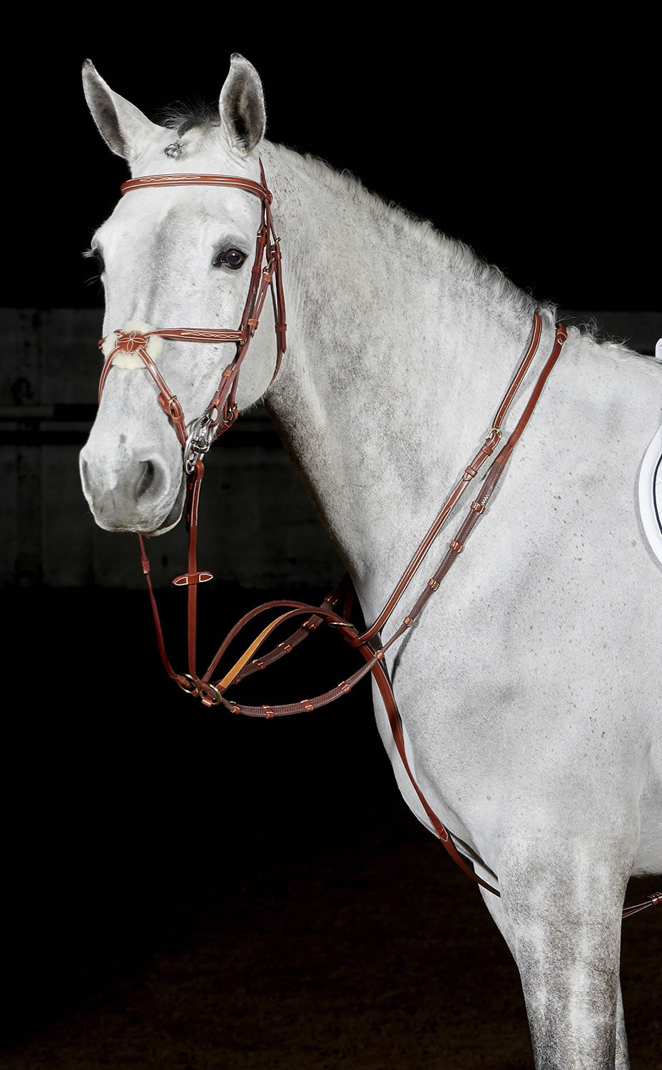 Whitaker Ma052 Valencia Luxury Martingale Tan
