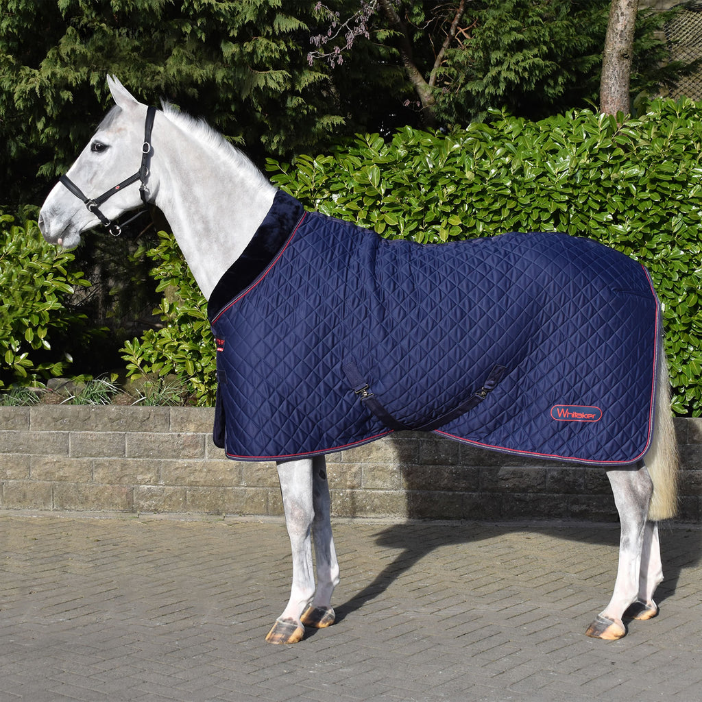 Whitaker R205 Rastrick Cosy Show/stable Rug Navy