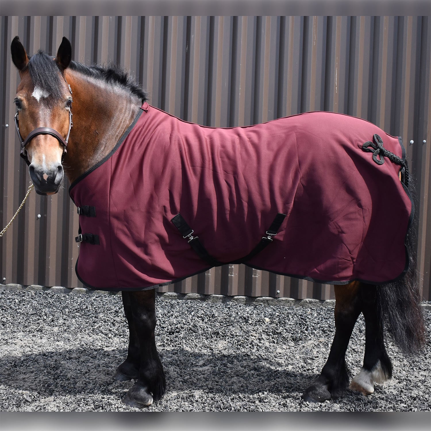 Whitaker R373 Bilbao Bonded Fleece Rug Burgundy/navy