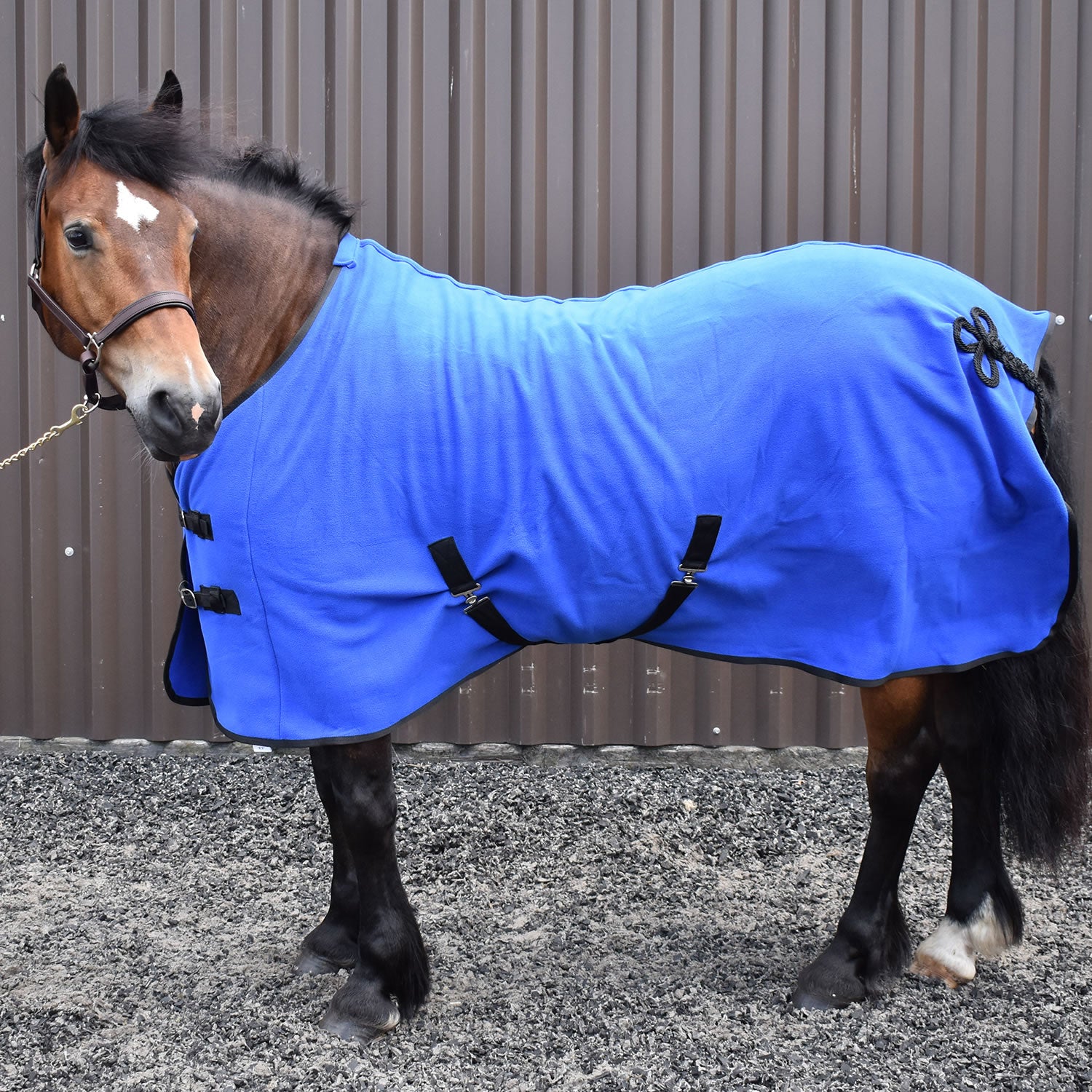 Whitaker R373 Bilbao Bonded Fleece Rug Royal Blue/navy