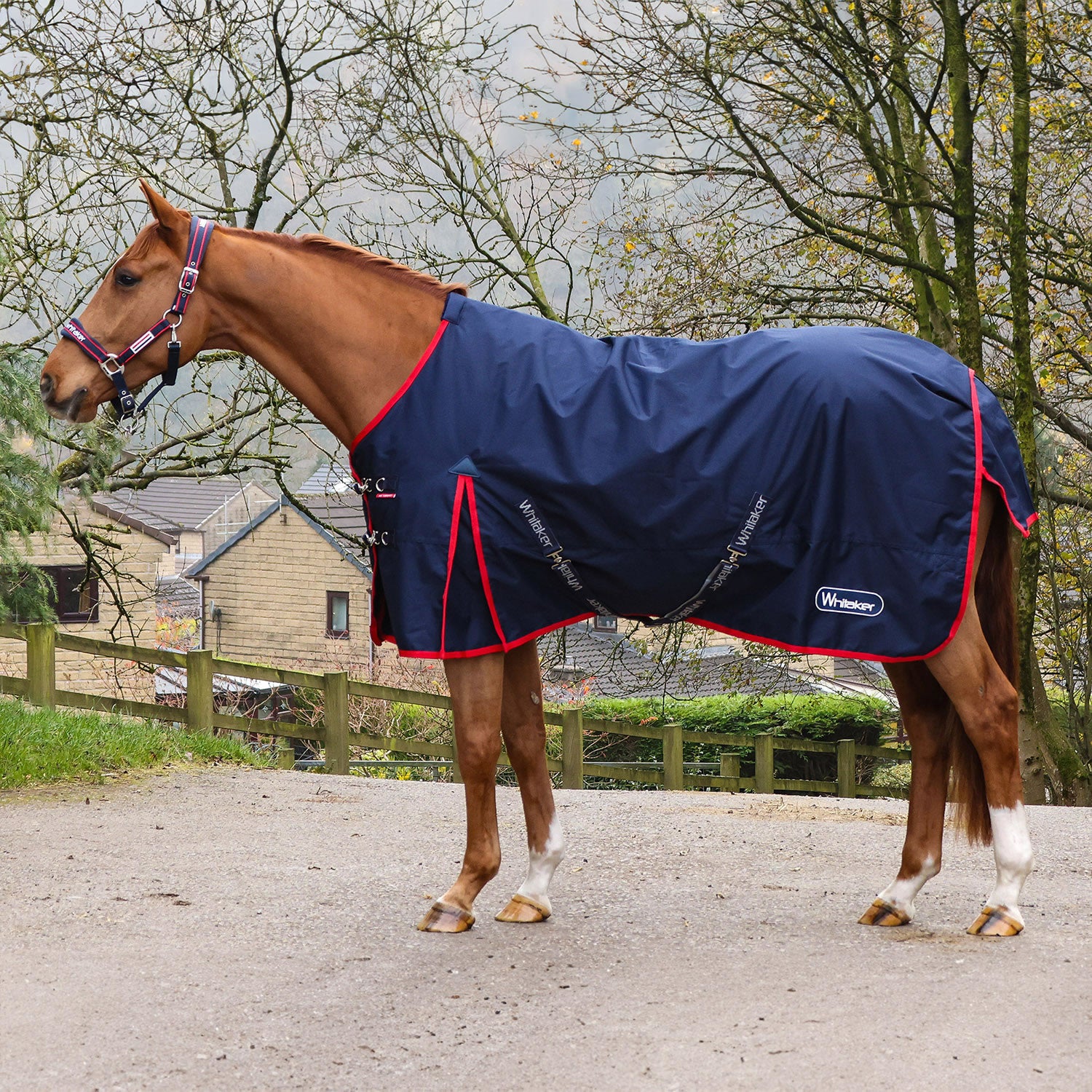 Whitaker R443 Rastrick V2 100g Turnout Rug Navy