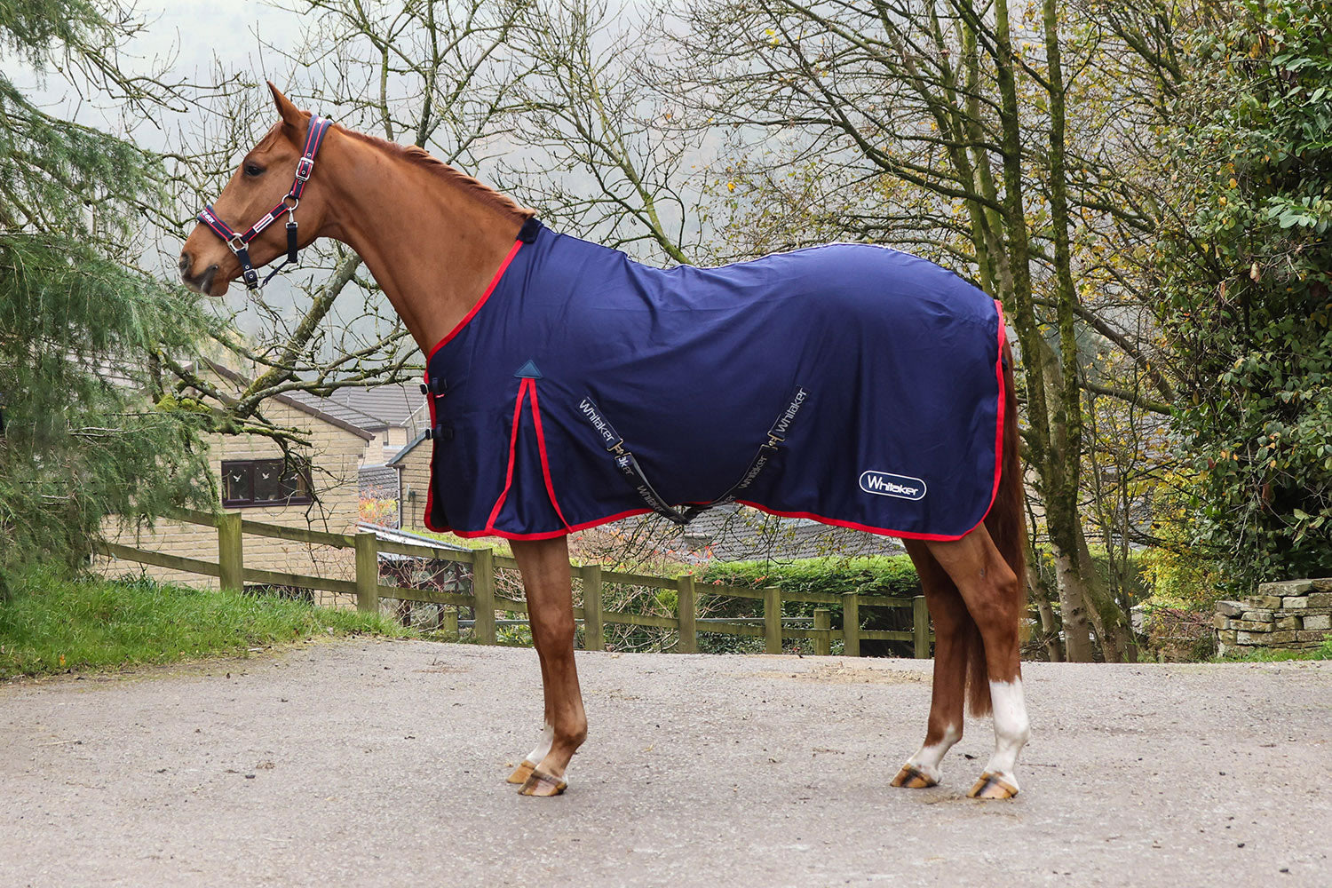 Whitaker R471 Rastrick V2 Stable Sheet Navy