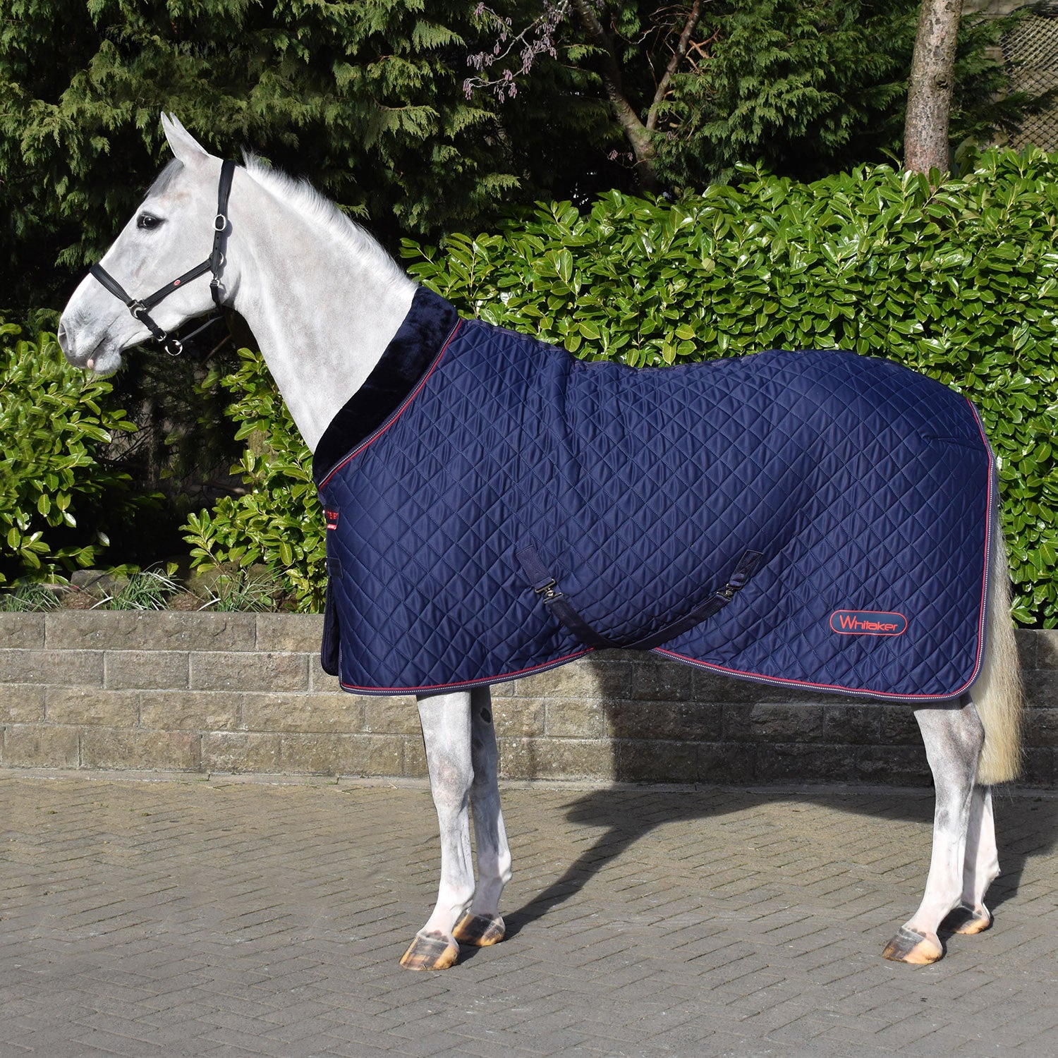 Whitaker R472 Rastrick V2 Cosyrug