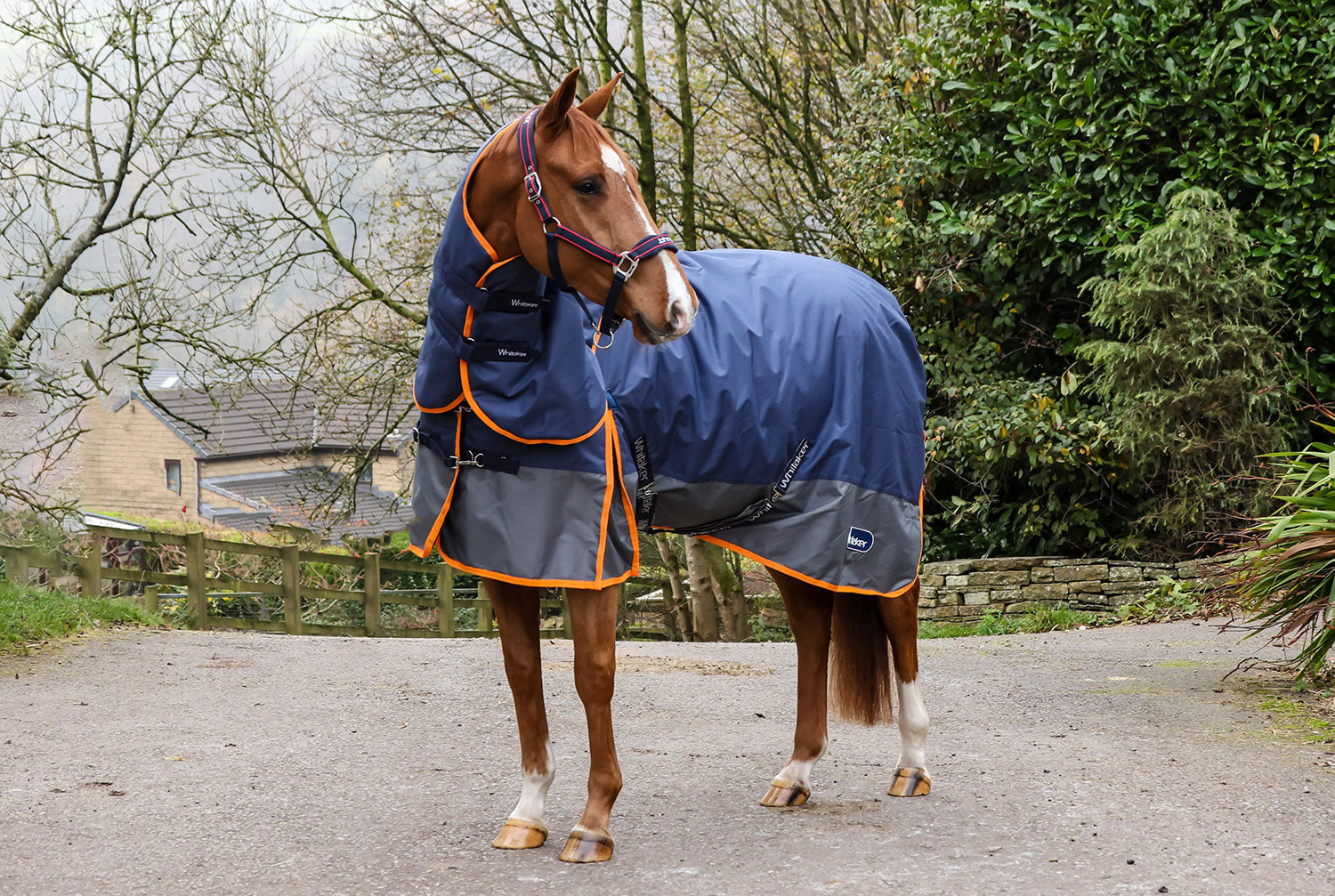 Whitaker R444 Rastrick V2 250gturnout Rug Combo Navy/grey