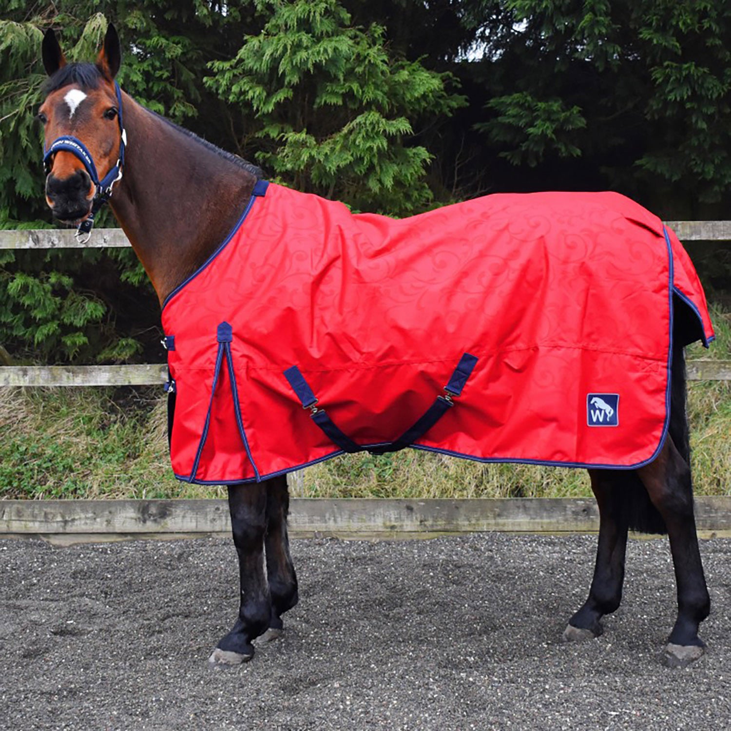 Whr1 W-horse 0g Turnout Rug Red/blue