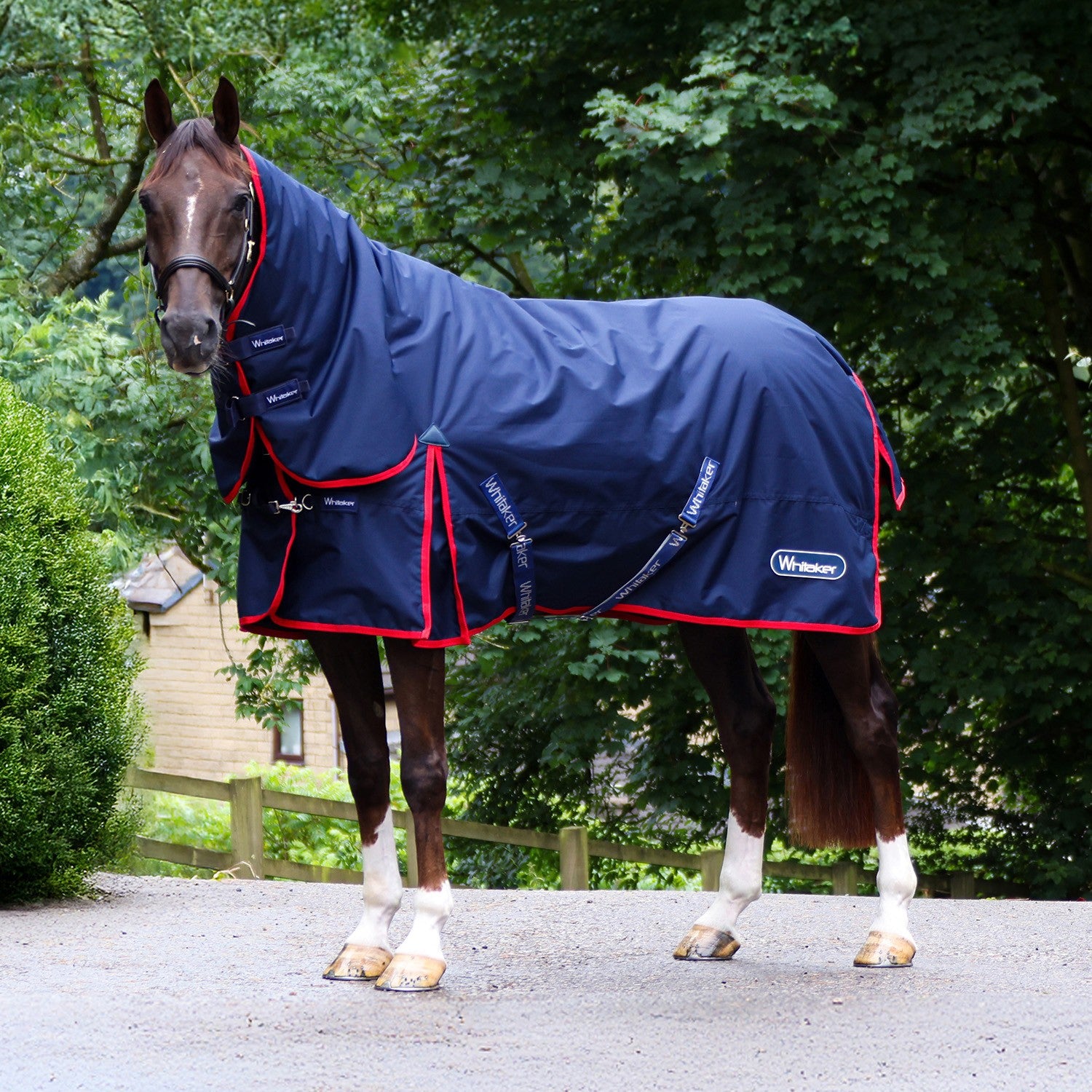 Whitaker R441 Rastrick V2 0g Turnout Rug Fixed Neck Navy