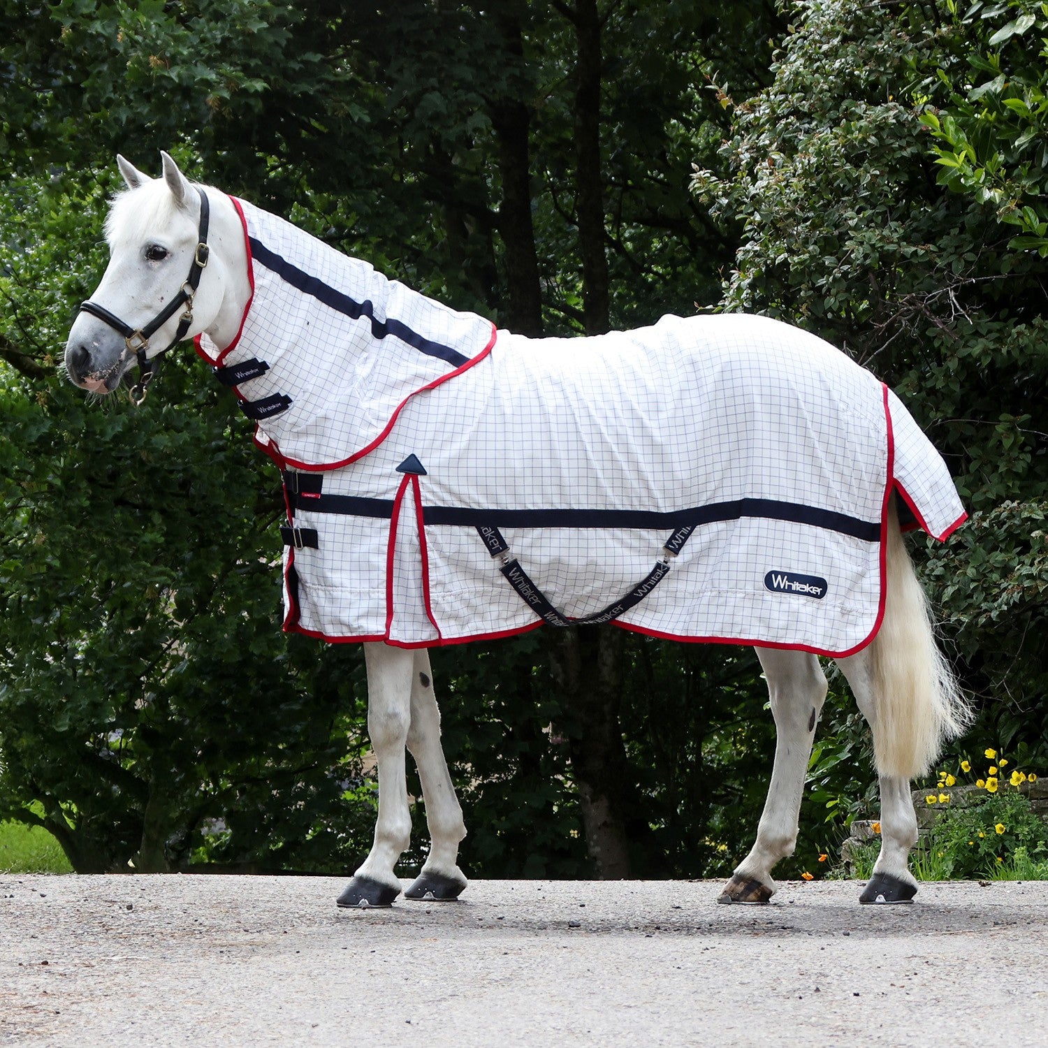 Whitaker R463 Rastrick V2 Uv Cool Rug White