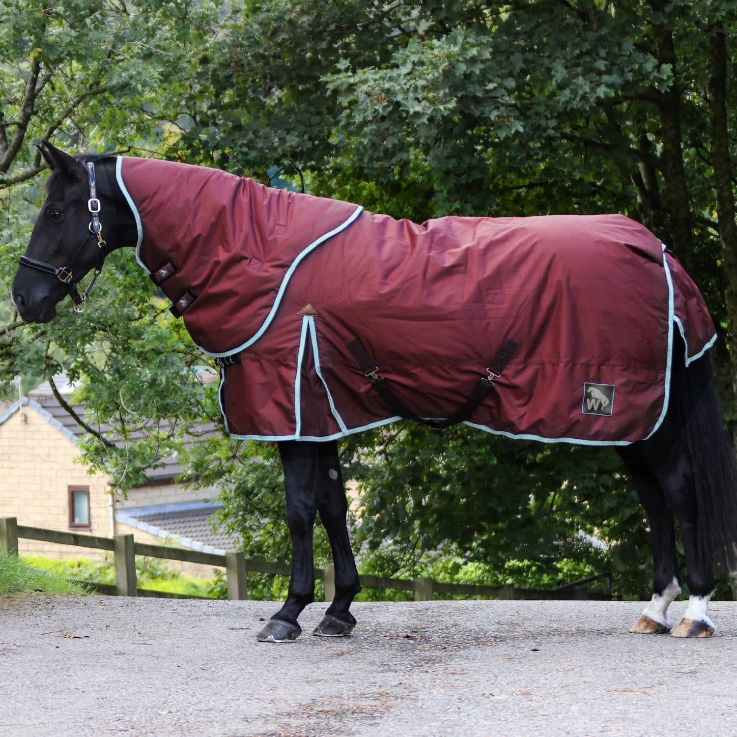 W-horse R347 James 150g Turnout Rug Combo Burgundy
