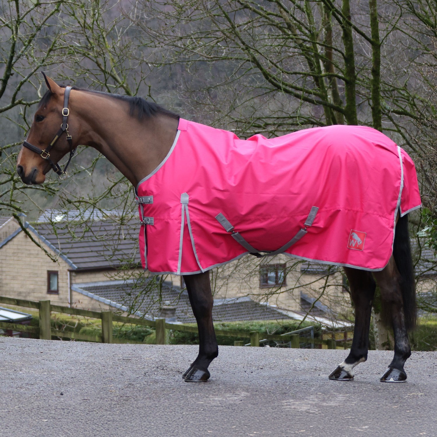 W-horse Whr1 0g Standard Turnout Rug Pink/grey