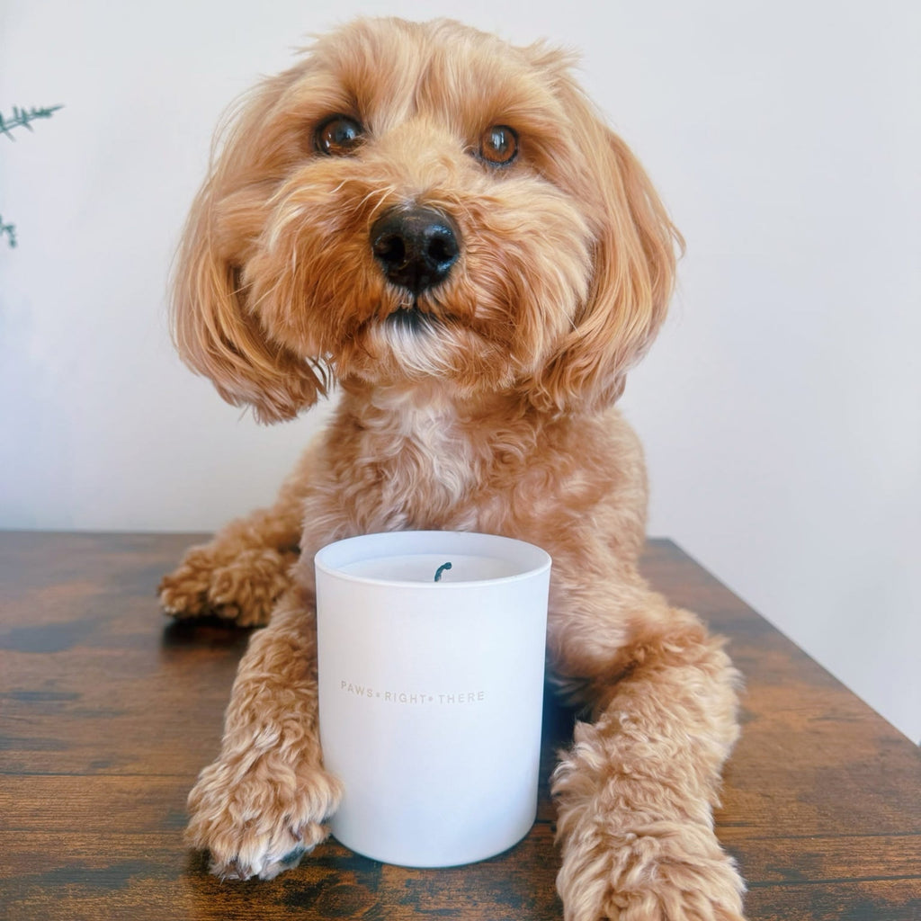 Calm & Comfort - Clean Burn Essential Oil Candle