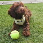 Tweed Adjustable Harness - Sage