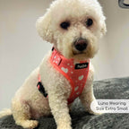 Adjustable Harness - Peachy Hearts