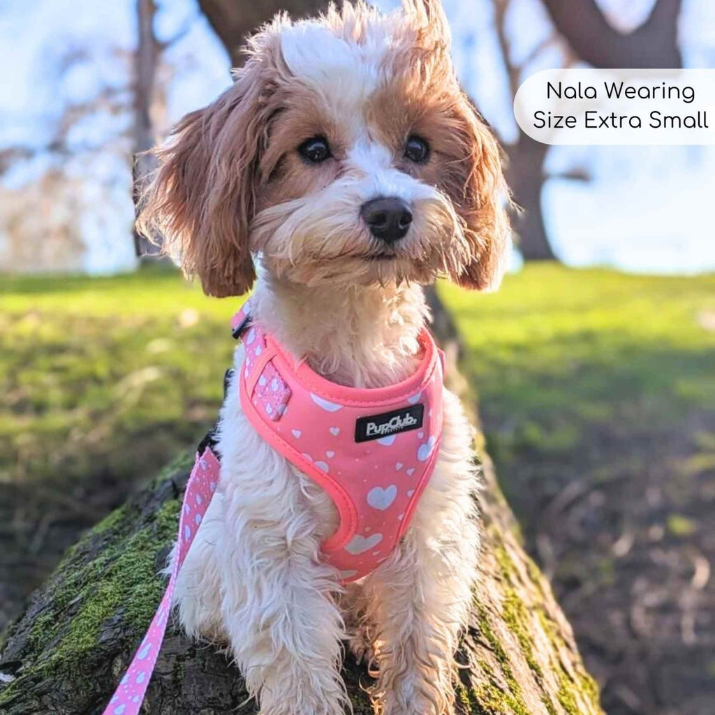 Adjustable Harness - Peachy Hearts