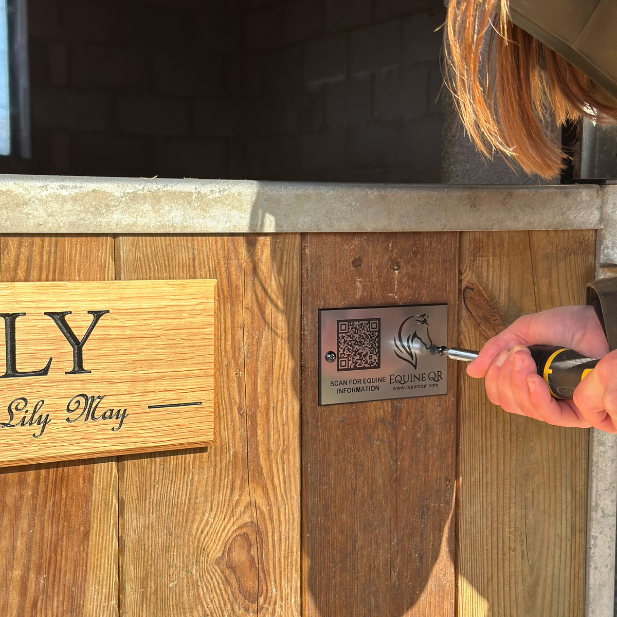Equine QR Mount