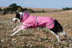 Luxe Waterproof Dog Coat 0g - Baby Pink