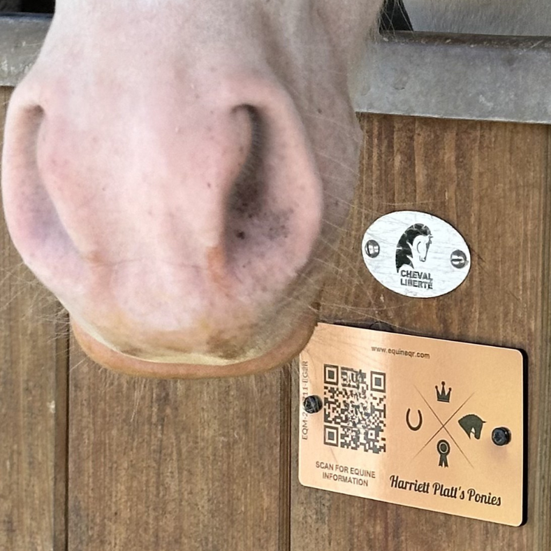 Equine QR Mount