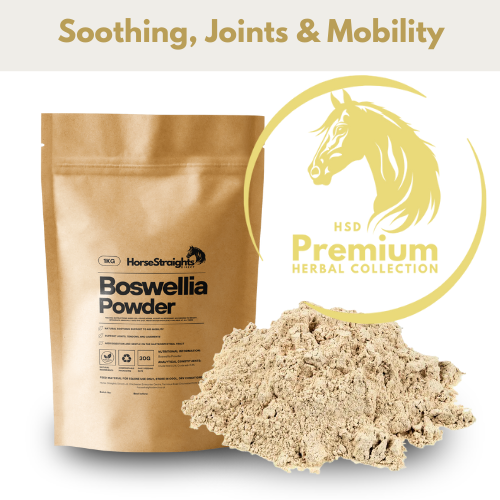 Boswellia Powder