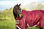 100g Detachable Neck Turnout Rug - Burgundy