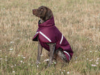 Luxe Waterproof Dog Coat 250g - Burgundy