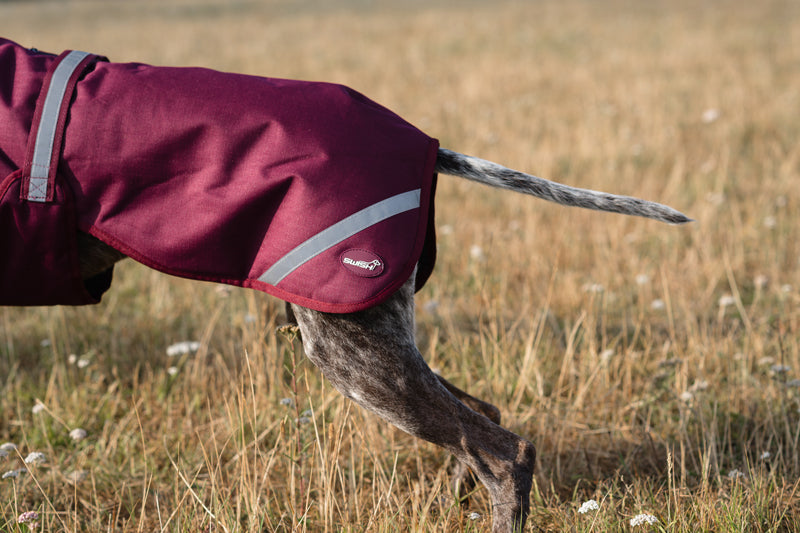 Luxe Waterproof Dog Coat 0g - Burgundy