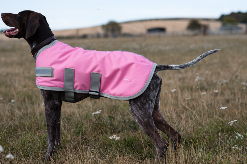 Classic Waterproof Dog Coat 150g - Baby Pink