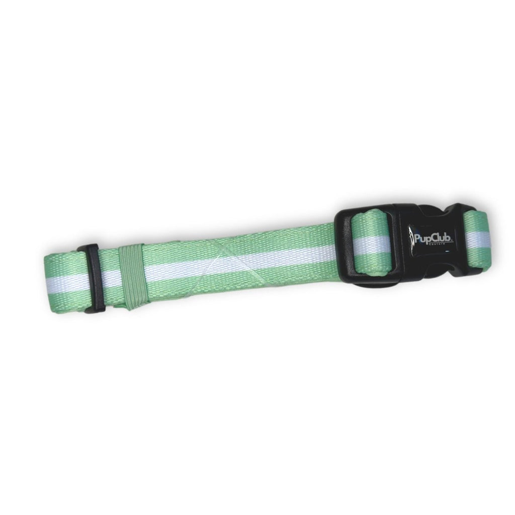 Collar - Pastel Mint