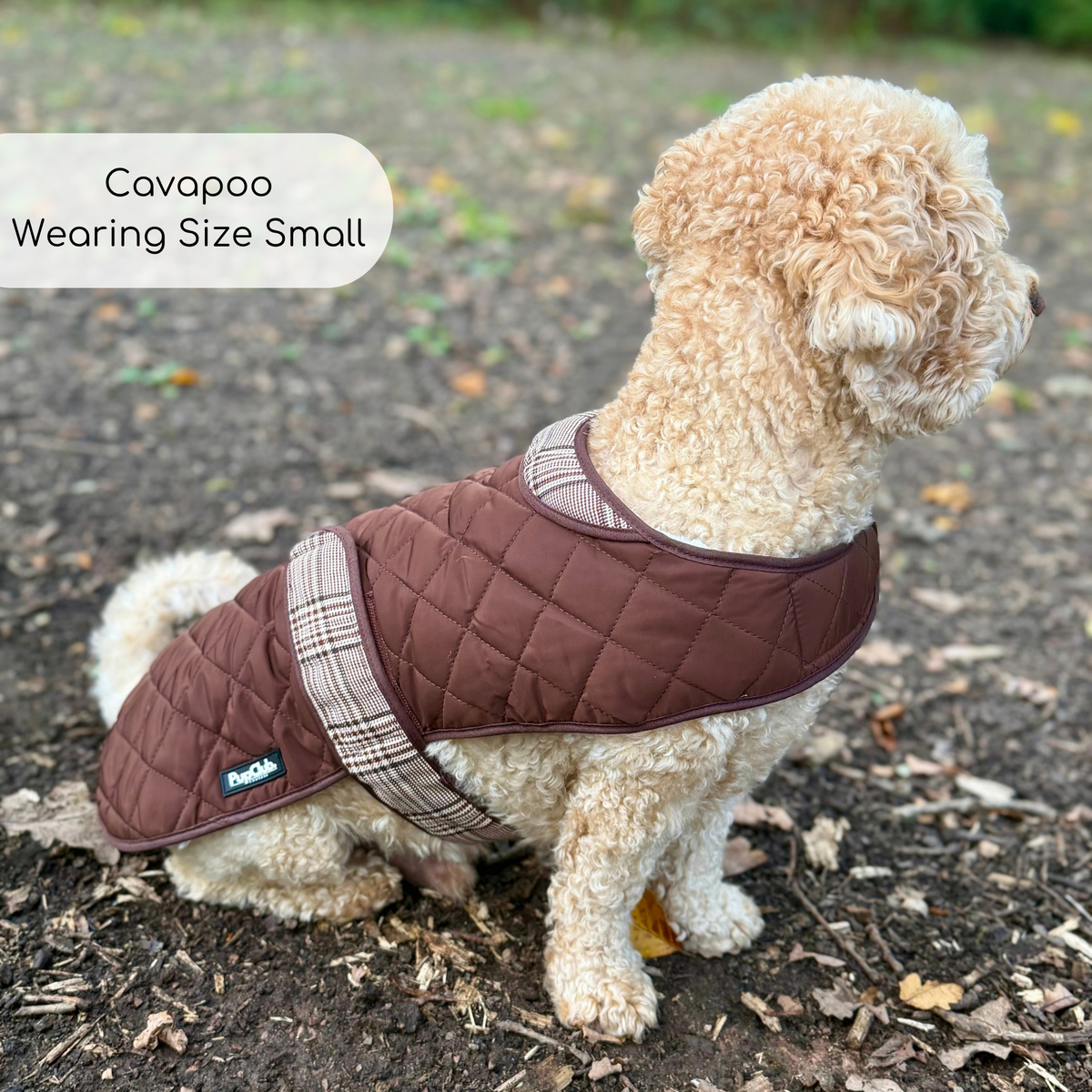 Quilted Dog Coat - Foxbury Plaid