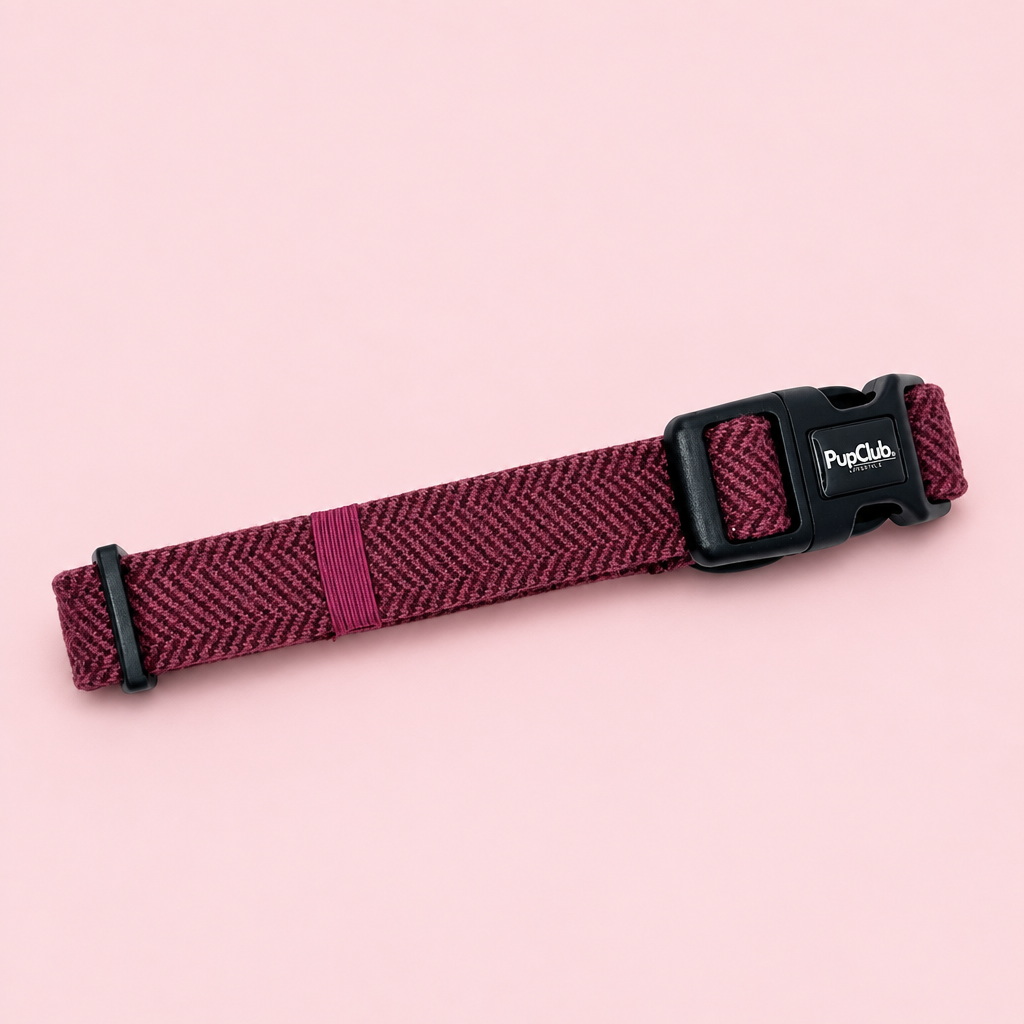 Collar - Berry Tweed