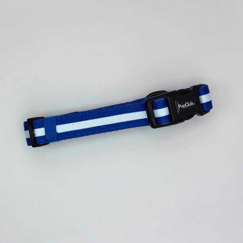 Collar - Royal Blue