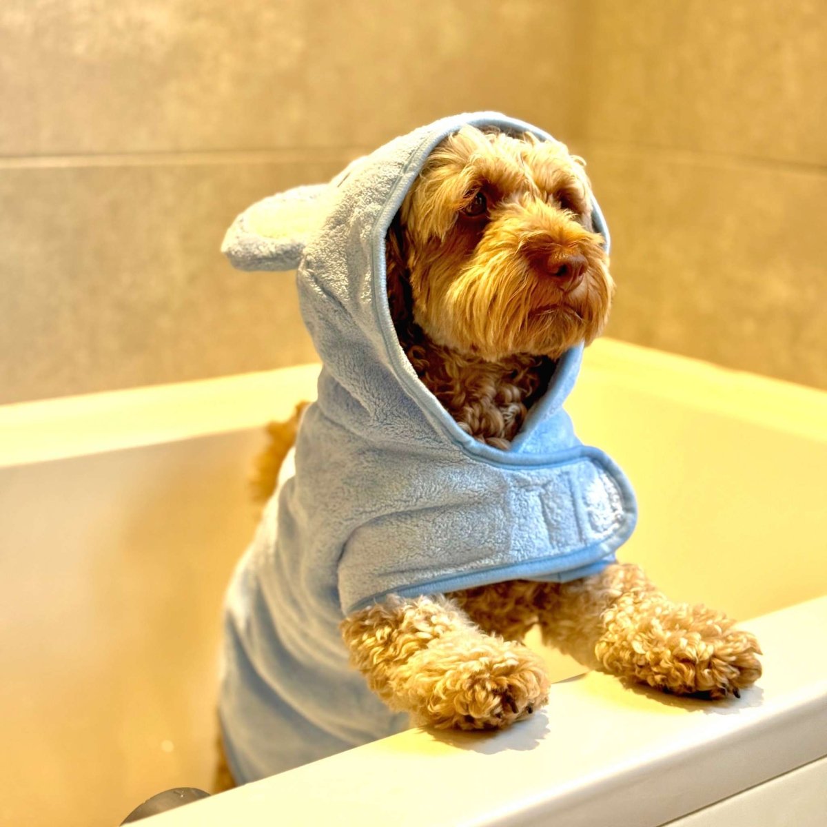 Drying Robe - Blue