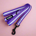 Lead - Lilac Blush