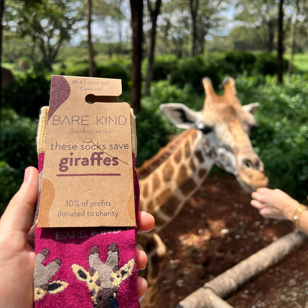 Safari Giants 2 Pack Bamboo Sock Set
