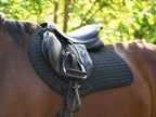 Close Contact GP Saddle Pad Orange