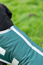 Classic 240g Waterproof Dog Coat - Hunter Green
