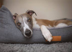 THE BALMORAL | LUXURY HERRINGBONE BOLSTER DOG BED