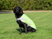 High Viz Yellow