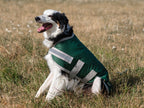 Classic Waterproof Dog Coat 150g - Hunter Green