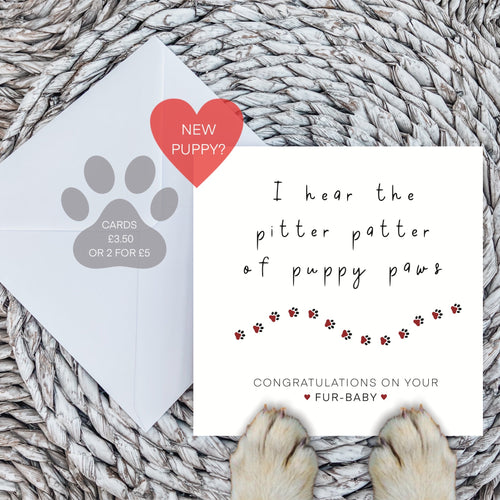 New puppy card