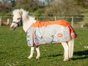 Orange/Grey