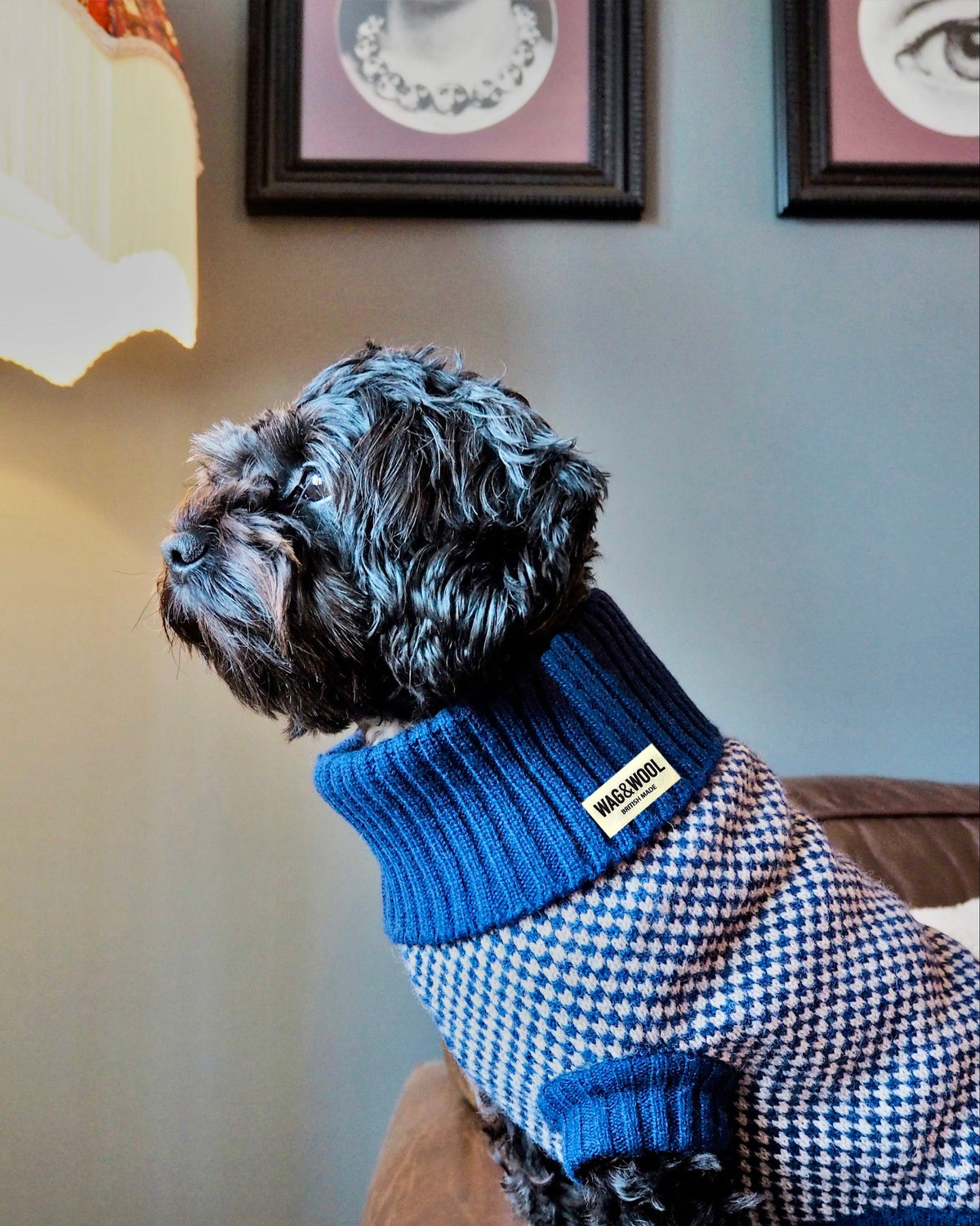 Navy Dog Jumper In Merino Lambswool