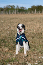 Luxe Waterproof Dog Coat 0g - Navy