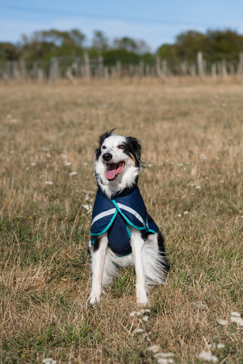 Luxe Waterproof Dog Coat 250g - Navy