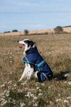 Luxe Waterproof Dog Coat 250g - Navy