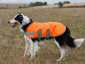 Classic Waterproof Dog Coat 150g - Orange High Viz