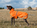 Luxe Waterproof Dog Coat 250g - Orange High Viz